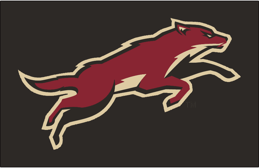 Arizona Coyotes 2008 09-2013 14 Jersey Logo vinyl decal